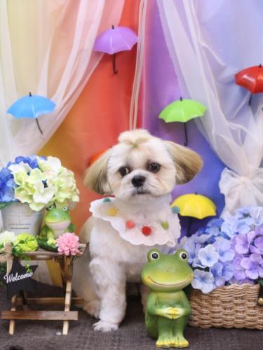 20230603ララくん